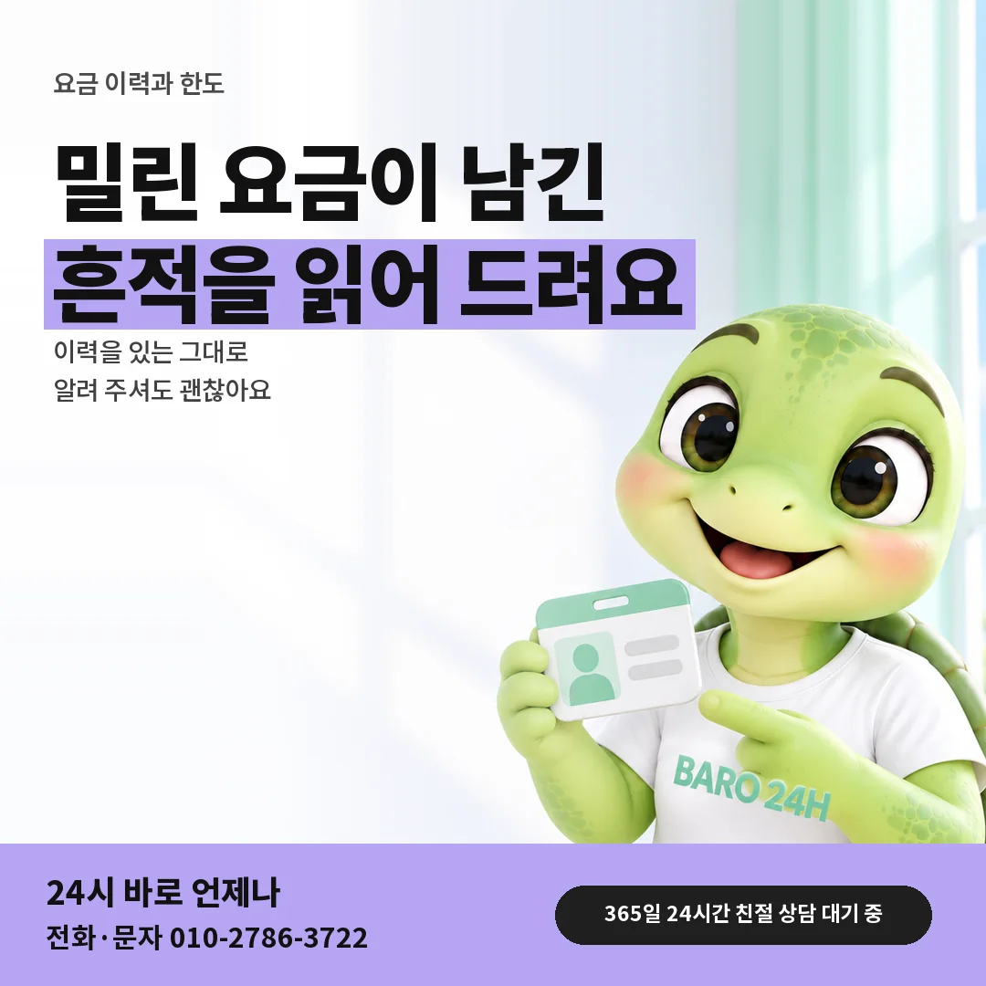 신분증을 든 BARO 24H 티셔츠를 입은 3D 거북이 캐릭터 옆에 「앱스토어 요금 이력과 한도」 제목을 얹은 안내 카드